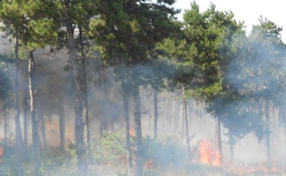 Червен код за опасност от пожари в 20 области в страната