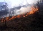 Горски пожар гори между Казанлък и Мъглиж