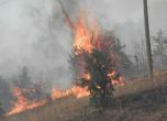 Голям пожар горя край Благоевград, евакуираха хора