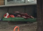 Умиращият бездомник се оказа бежанец от Либия с операция