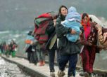 Сърбия пусна хиляди бежанци, хаос в Прешево