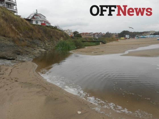 Виц на деня: 24 август