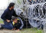 Унгарската ограда край границата със Сърбия е готова