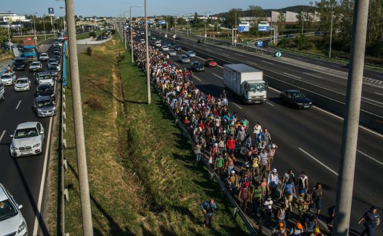 200 мигранти пробиха сръбски полицейски кордон и тръгнаха пеша към Будапеща