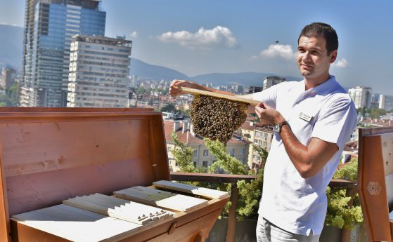 НДК започна отглеждането на пчелни кошери на покрива си