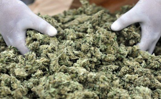 Хванаха български бус с марихуана на стойност €1,5 млн. в Италия