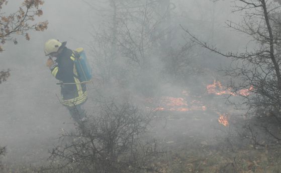 500 декара гора горяха край Ловеч