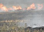 Пожар горя над Асеновград