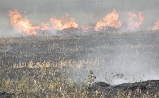 Пожар горя над Асеновград