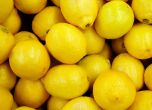 Турските лимони пробиха руската икономическа блокада в името на водката