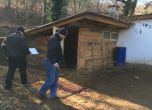 Непознати заклаха и откраднаха 7 животни от открит зоокът край Стара Загора