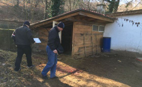 Непознати заклаха и откраднаха 7 животни от открит зоокът край Стара Загора
