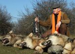 Местан убил 3 вълка на гонка в Родопите