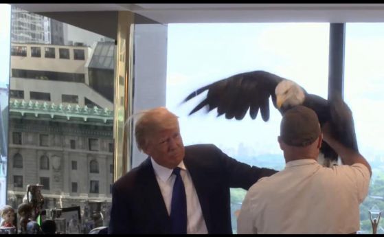 Орел клъвна Доналд Тръмп (видео)