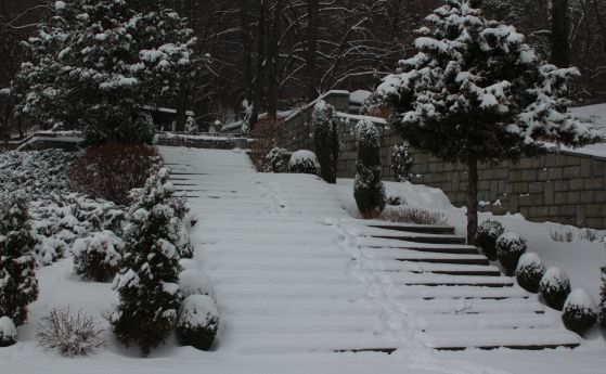 49 училища остават затворени заради снега