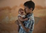 Бум на вируса Зика: Бебета се раждат с анормално малки глави в Бразилия