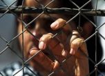 Хванаха 16 нелегални мигранти в Пазарджишко