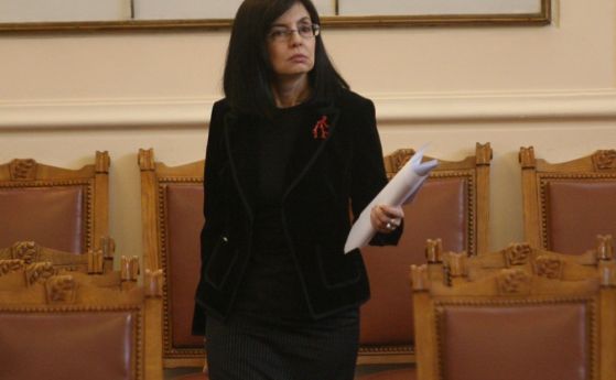Кунева представя концепцията си пред депутатите