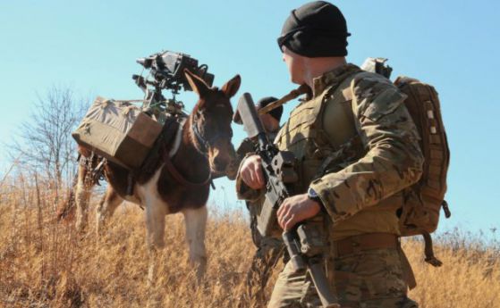 Турция купува 900 мулета за армията си