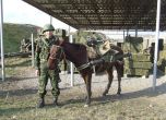 Ненчев, купи магарета за границата с Турция