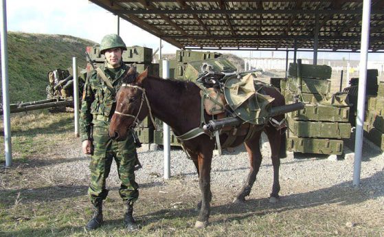 Ненчев, купи магарета за границата с Турция