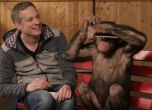 Как фокус с iPad истински зарадва няколко маймунки (видео)