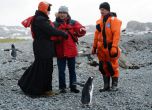 Пингвини посрещнаха руския патриарх в Антарктида