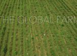 „Глобалната ферма”: Как изглежда България през погледа на една американка