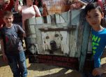 Стотици на протест "Аз съм куче" пред парламента (снимки и видео)