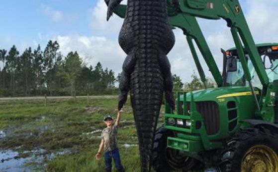 US-фермер застреля гигантски алигатор