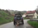 800 лв. глоба за шофьора, влачил куче с колата си в Самоковско