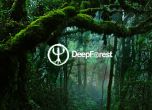 Беглика Фест 2016: Дружно усилие със звученето на Deep Forest