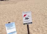Превзетият плаж с 36 лева такса не е на Иракли, показа проверка на Министерството на туризма