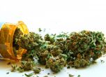 Медицинската марихуана е вече легална в Македония