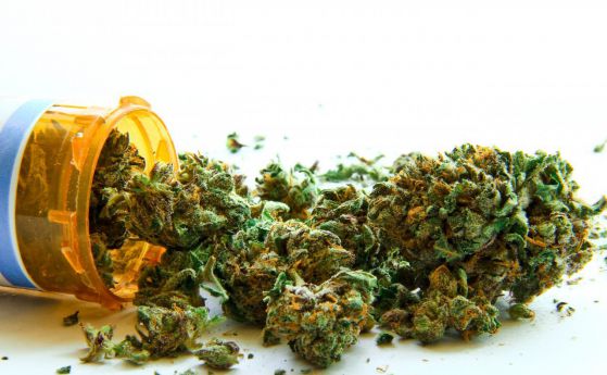 Медицинската марихуана е вече легална в Македония