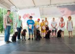 Мтел и „Очи на четири лапи“ обучават кучета асистенти за хора с двигателни увреждания