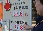 530 души в болница заради жегите в Япония