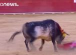 Бик уби един от най-известните тореадори в Испания (видео)