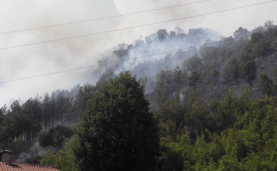 Пожарът край Ардино е локализиран, военни се включиха в гасенето