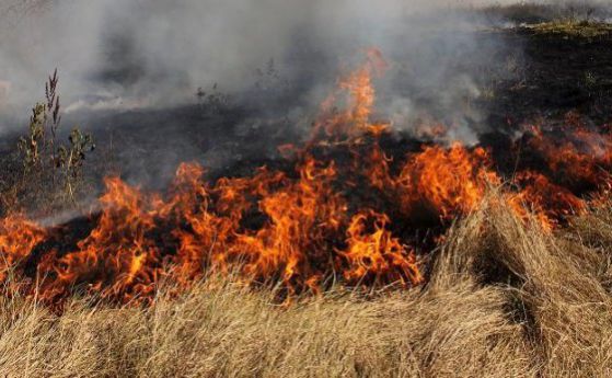 2000 дка треви горят в Хасковско, 1500 дка гора пламна във Варненско