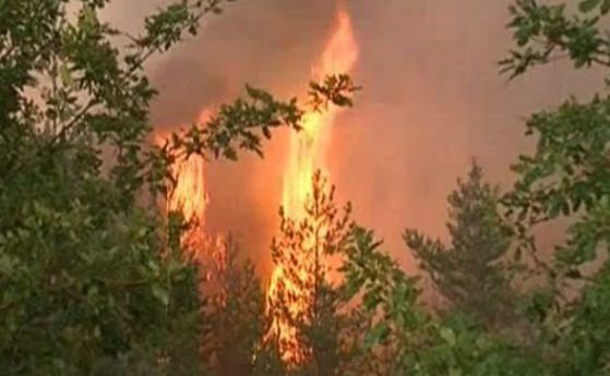 Повече от 3 000 дка гори са засегнати от двата големи пожара от днес