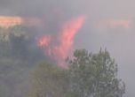 Пожарът в Хасковско тръгнал заради печени патладжани