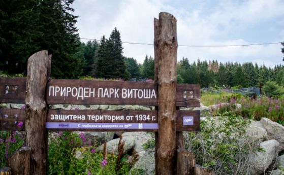 Еколози: Плановете за Пирин и Витоша влизат за одобрение през август