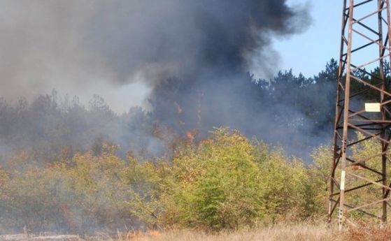 Военни се включиха в гасенето на пожар край ямболското село Драма
