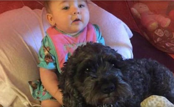Куче загина в пожар, за да спаси 8-месечно бебе