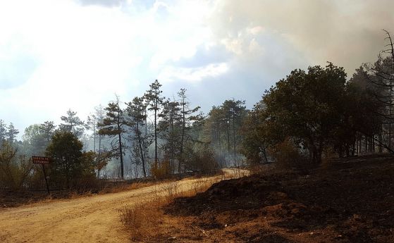 Бедствено положение в община Харманли заради нов горски пожар