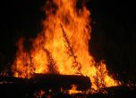 Огромен пожар бушува край хасковско село