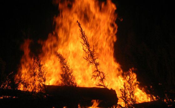 Огромен пожар бушува край хасковско село
