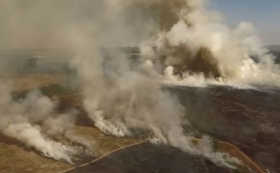 Природозащитници: Палежи унищожават Калиакра, а държавата нехае (видео)
