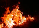 Пожар край Харманли обхвана 15 000 дка